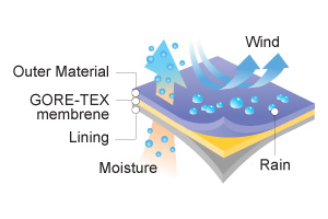 All you need to know about the GORE-TEX membrane and the GORE-TEX product  technology 