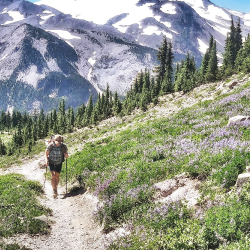 It is an image of a woman trekking on a trail full of flowers with poles while looking at snow-covered mountains.